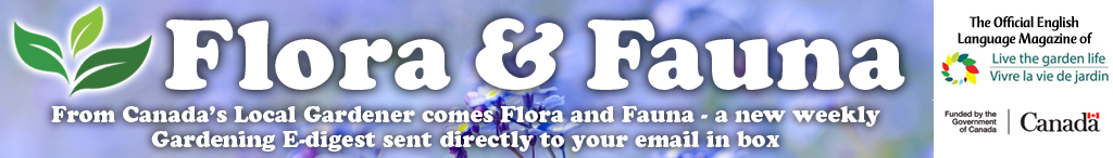 Flora Fauna Banner 1024x146 g