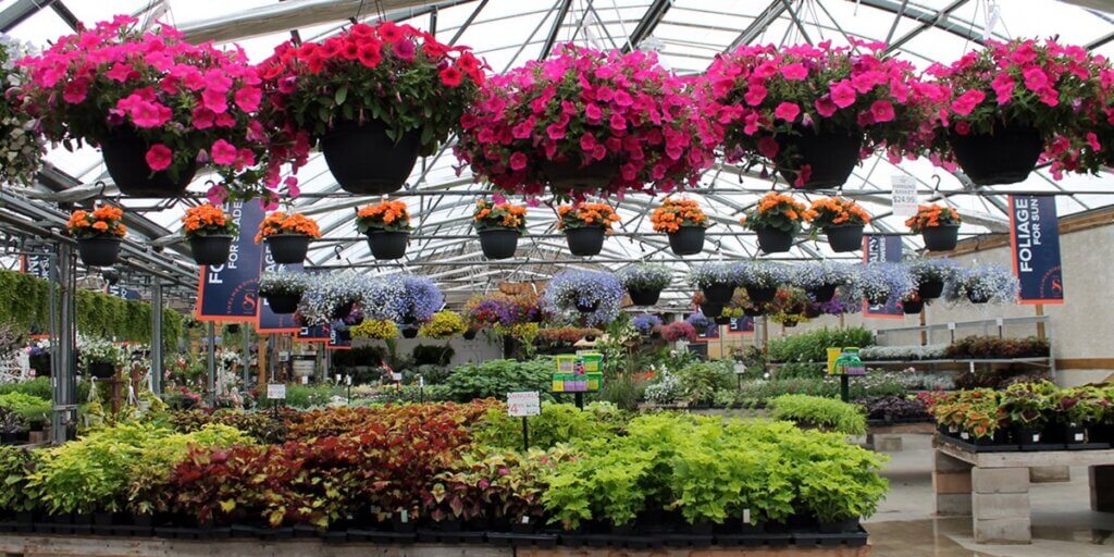 Garden shopping!