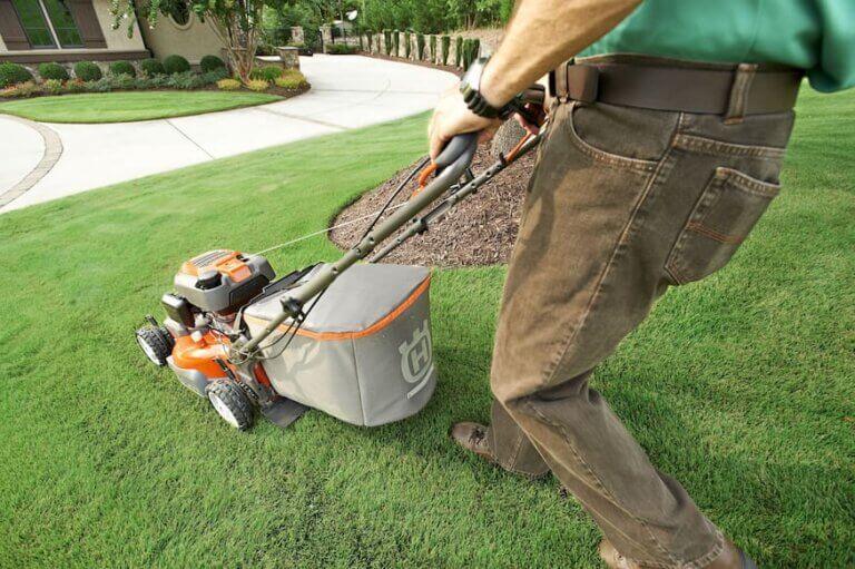 Trivia; 10 fun facts about lawn; grass