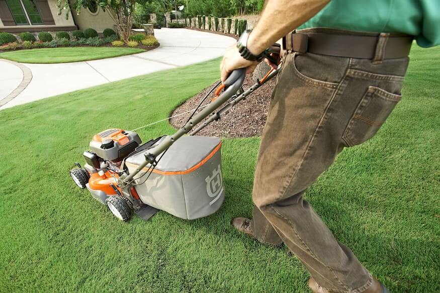 10 Neat Things about Lawns