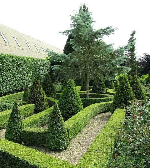 Knot garden